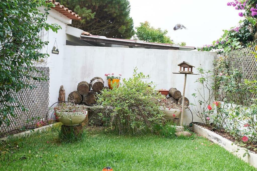 Вілла Beija-Flor House Рібамар Екстер'єр фото